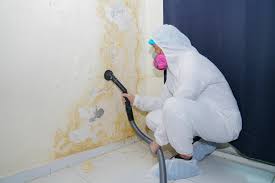 Why You Should Choose Our Mold Remediation Services in Arbury Hills, IL